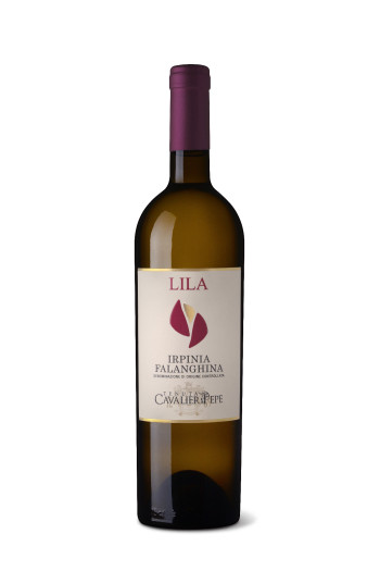 Cavalier Pepe Lila Irpinia