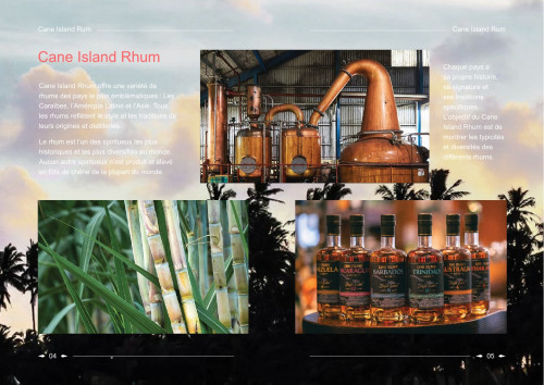 cane island brochure french image3